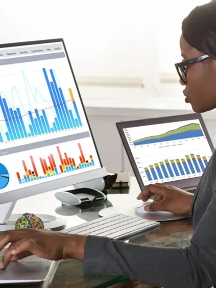 Woman looking at statistics on the computer.